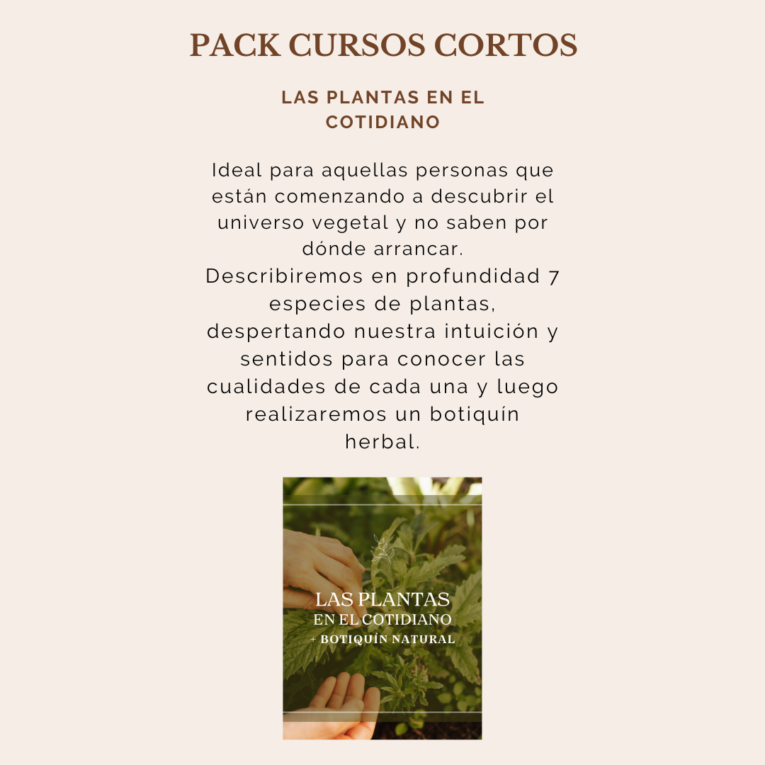 hot-sale-botiquin