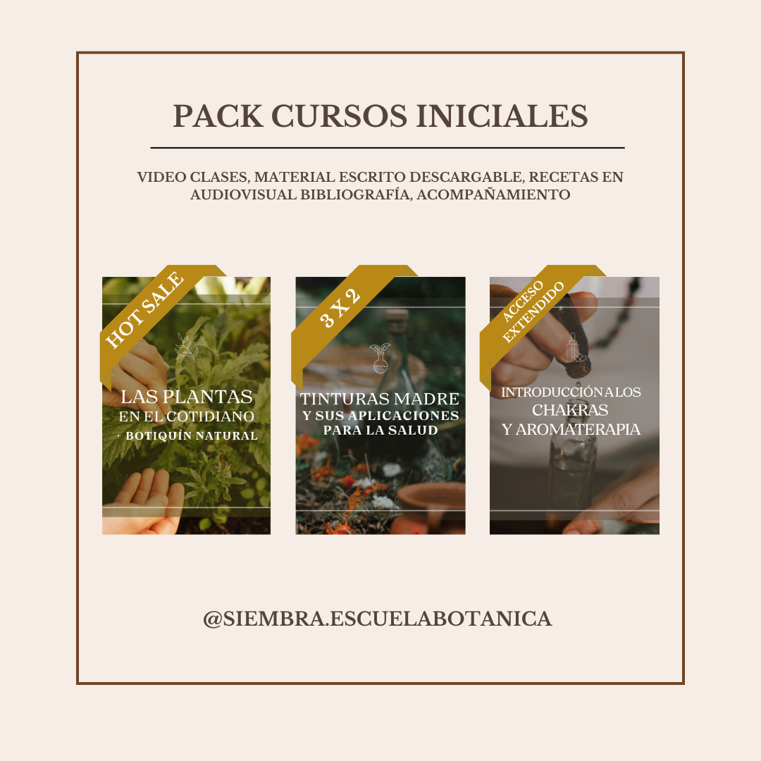 hot-sale-pack-3x2-cortos