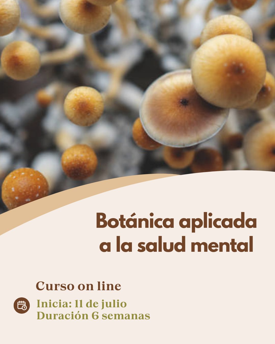 salud mental 2026 (2)