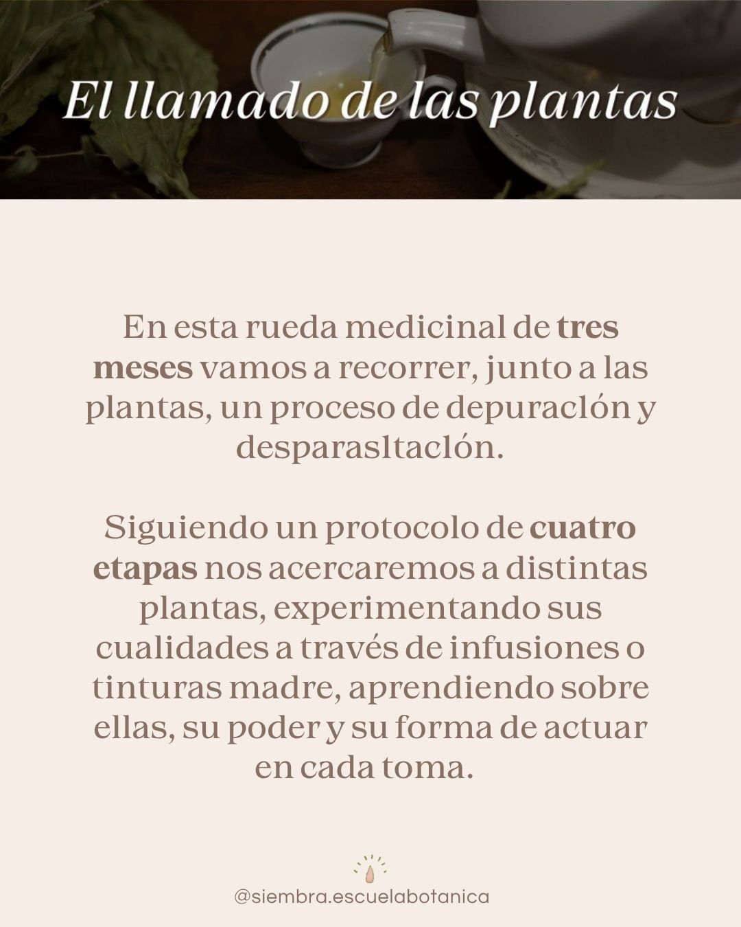 ciclo-primavera-2