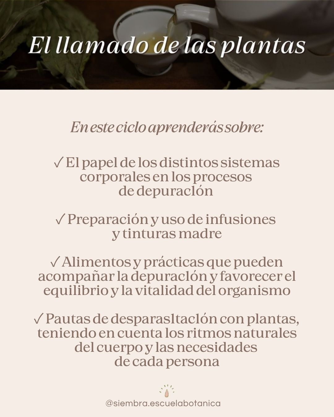 ciclo-primavera-4