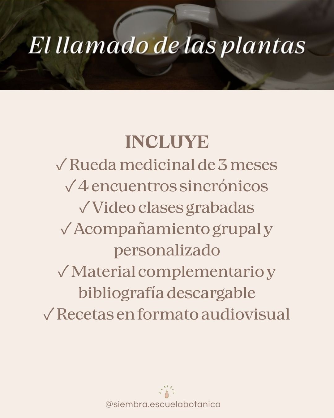 ciclo-primavera-6