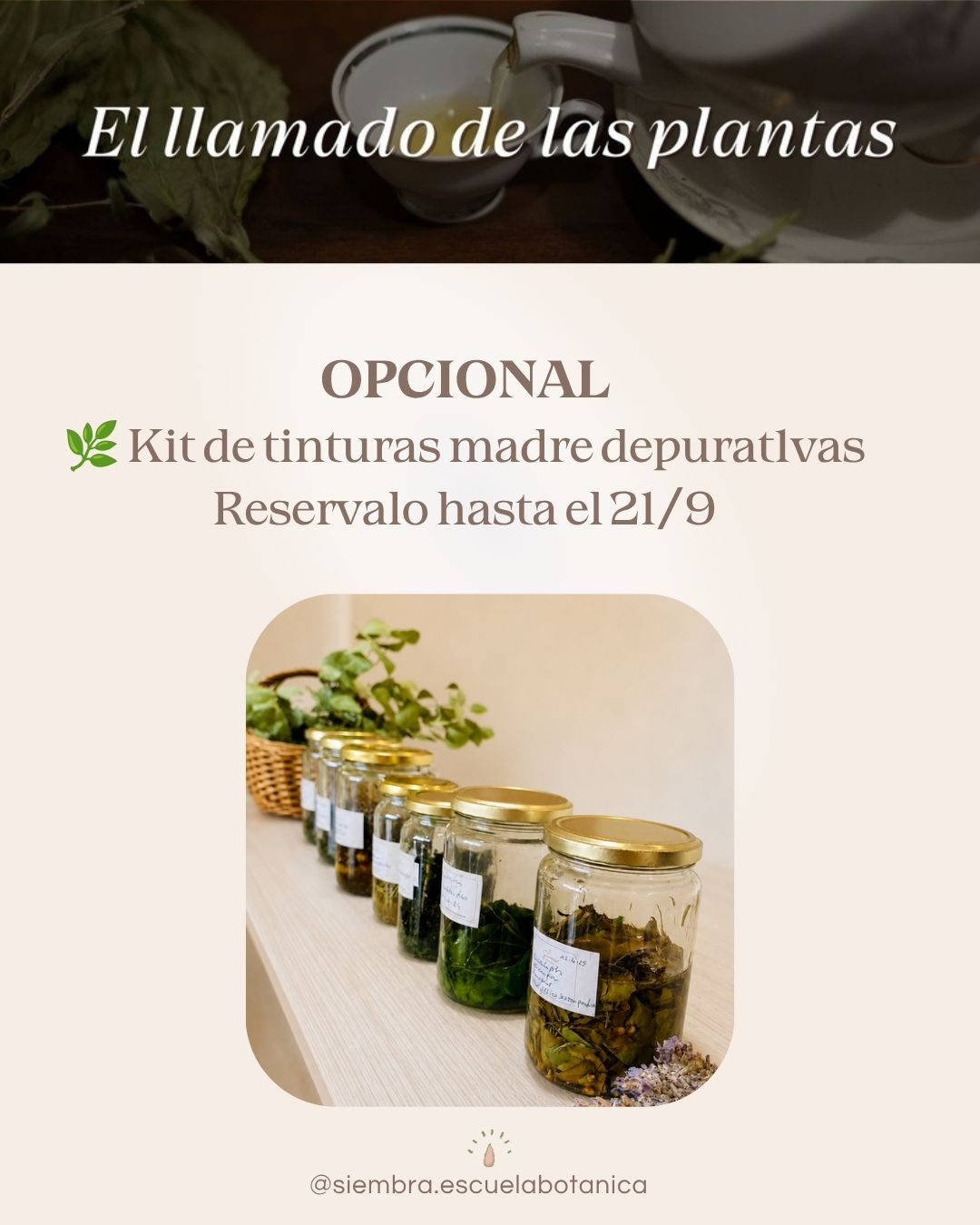 ciclo-primavera-7