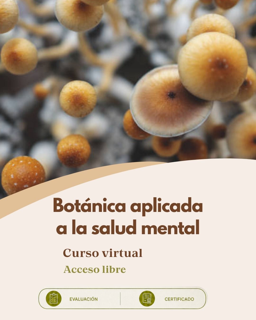 salud mental 2026 (8)